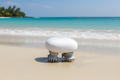 Beach Background